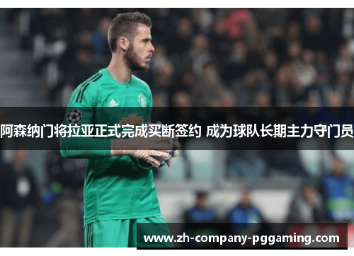 阿森纳门将拉亚正式完成买断签约 成为球队长期主力守门员