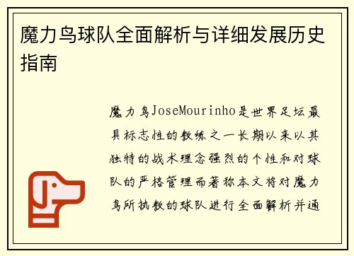 魔力鸟球队全面解析与详细发展历史指南