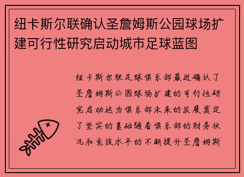 纽卡斯尔联确认圣詹姆斯公园球场扩建可行性研究启动城市足球蓝图 纽卡斯尔联确认圣詹姆斯公园球场扩建可行性研究启动城市足球蓝图